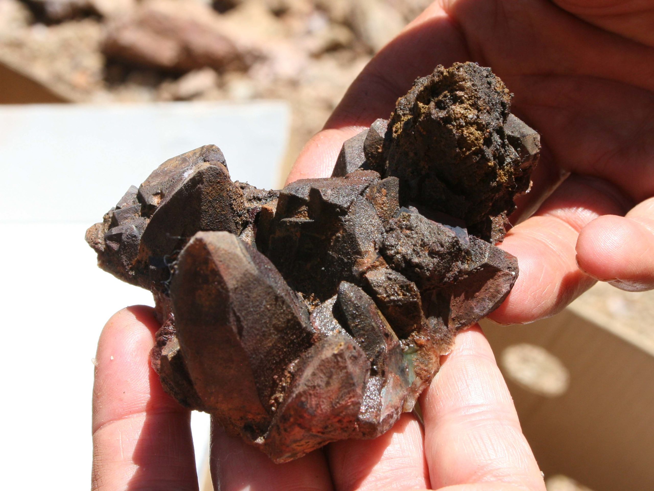 Mining09 371