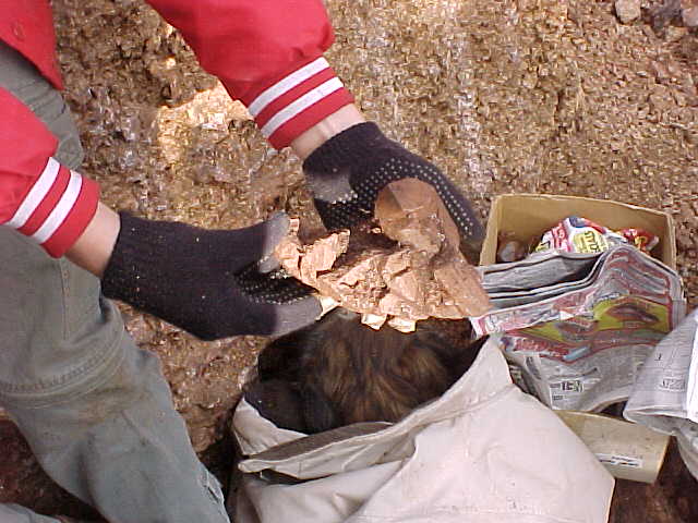 MVC-032S