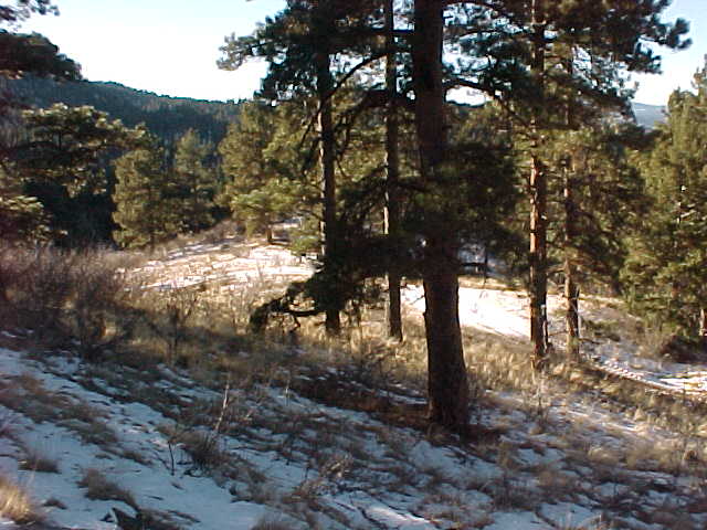 MVC-038S