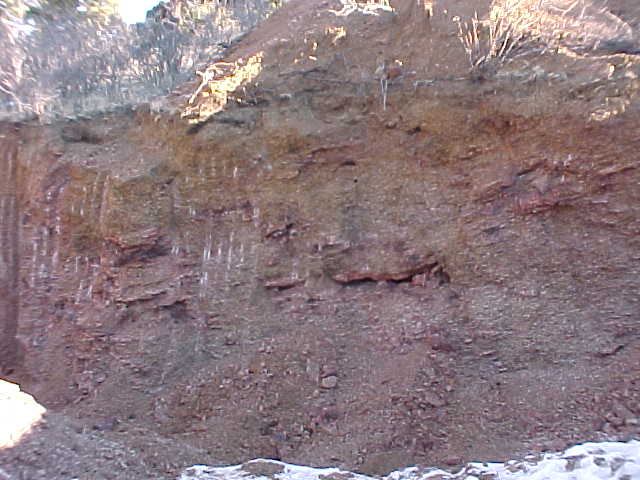 MVC-040S