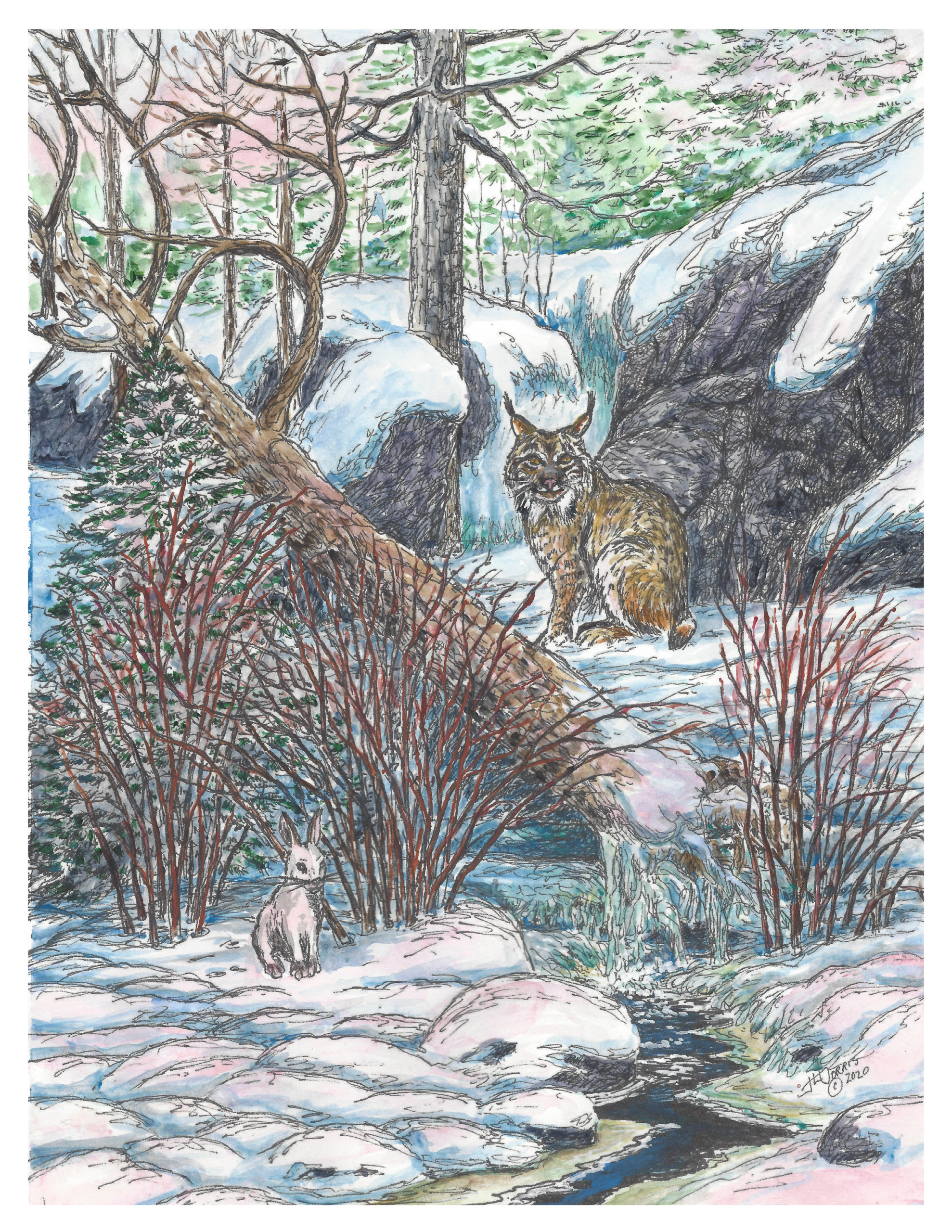 Print Lynx 600